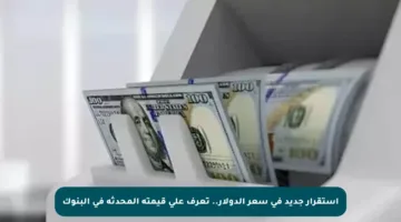 استقرار جديد في سعر الدولار.. تعرف على قيمته المحدثة في البنوك